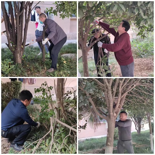 说明: 微信图片_20230526123903