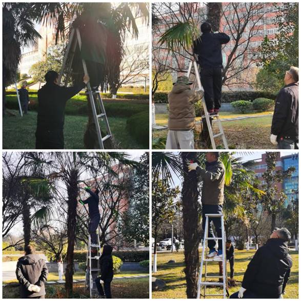 说明: 微信图片_20241218094533